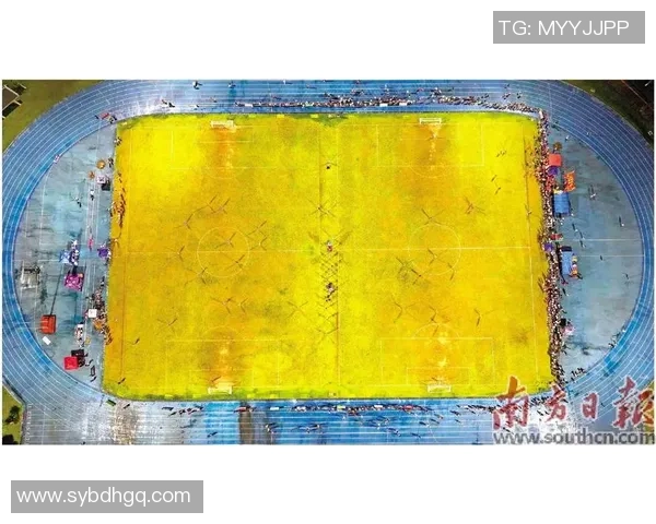 从草根到绿茵场梦想成真如何通过努力变成足球明星的成功之路 从草根到绿茵场梦想成真如何通过努力变成足球明星的成功之路