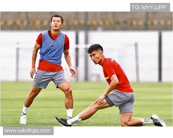 广州排球队球员个人能力深度对比与分析探讨 广州排球队球员个人能力深度对比与分析探讨