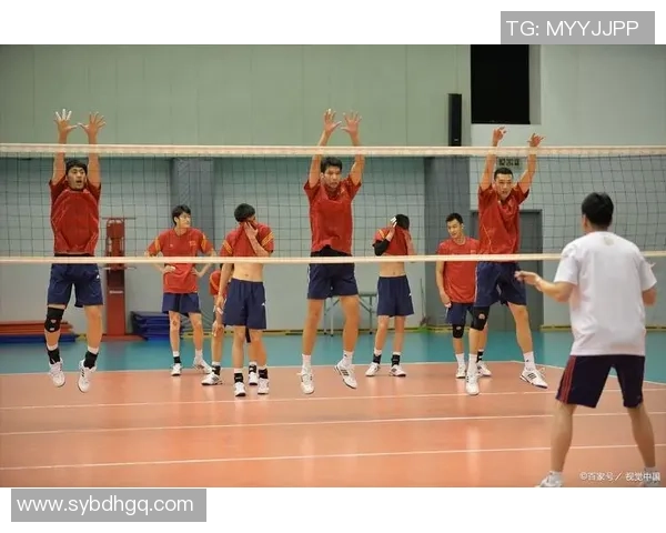 杭州排球队引领最新排球团队协作榜单前十名精彩表现解析