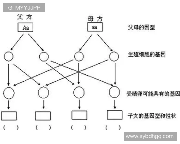 足球明星儿子身高揭秘与父亲的遗传基因关系分析 足球明星儿子身高揭秘与父亲的遗传基因关系分析