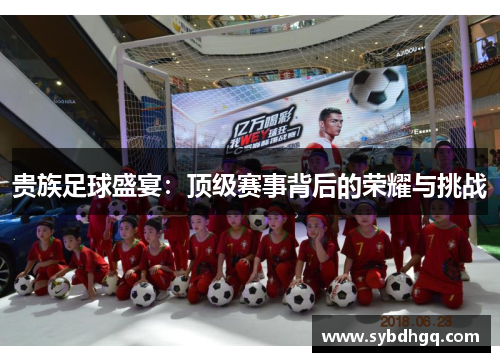 贵族足球盛宴：顶级赛事背后的荣耀与挑战