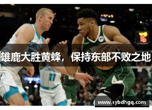 雄鹿大胜黄蜂，保持东部不败之地